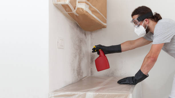 Professional Mold Testing technician working in Warren, IL